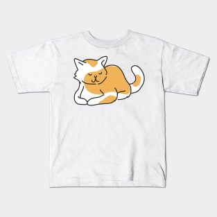 Lying Cat in a spotty orange coat Kids T-Shirt